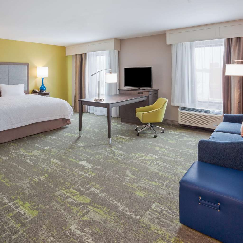 Hampton Inn & Suites Sioux City South, Ia Δωμάτιο φωτογραφία
